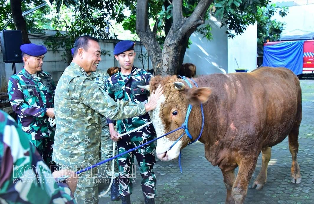 Pangkoarmada RI Serahkan Hewan Kurban Idul Adha 1447 H. (Foto: Dispen Koarmada RI)